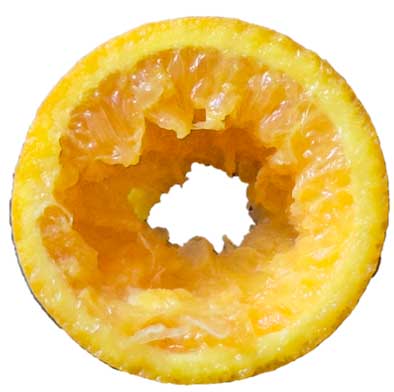 Example of TURP of citrus with a hole in it